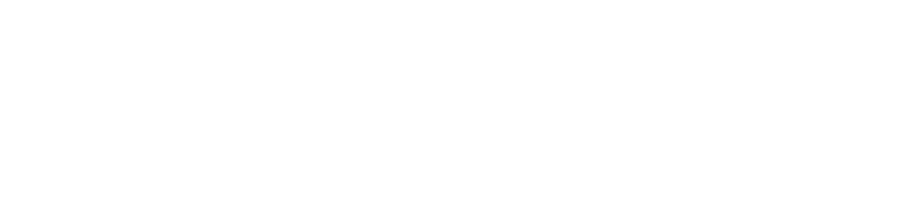 ACCOMPLICE/TOWARD LIBERATION