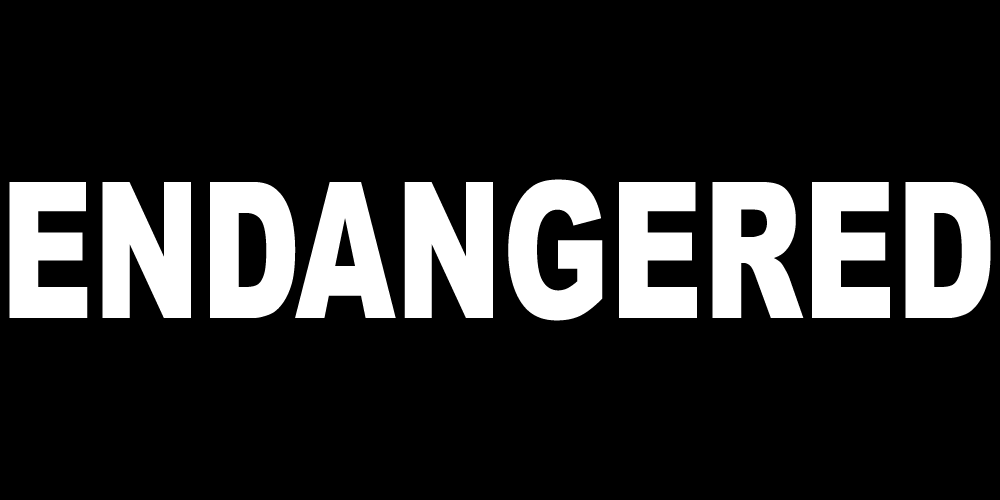ENDANGERED
