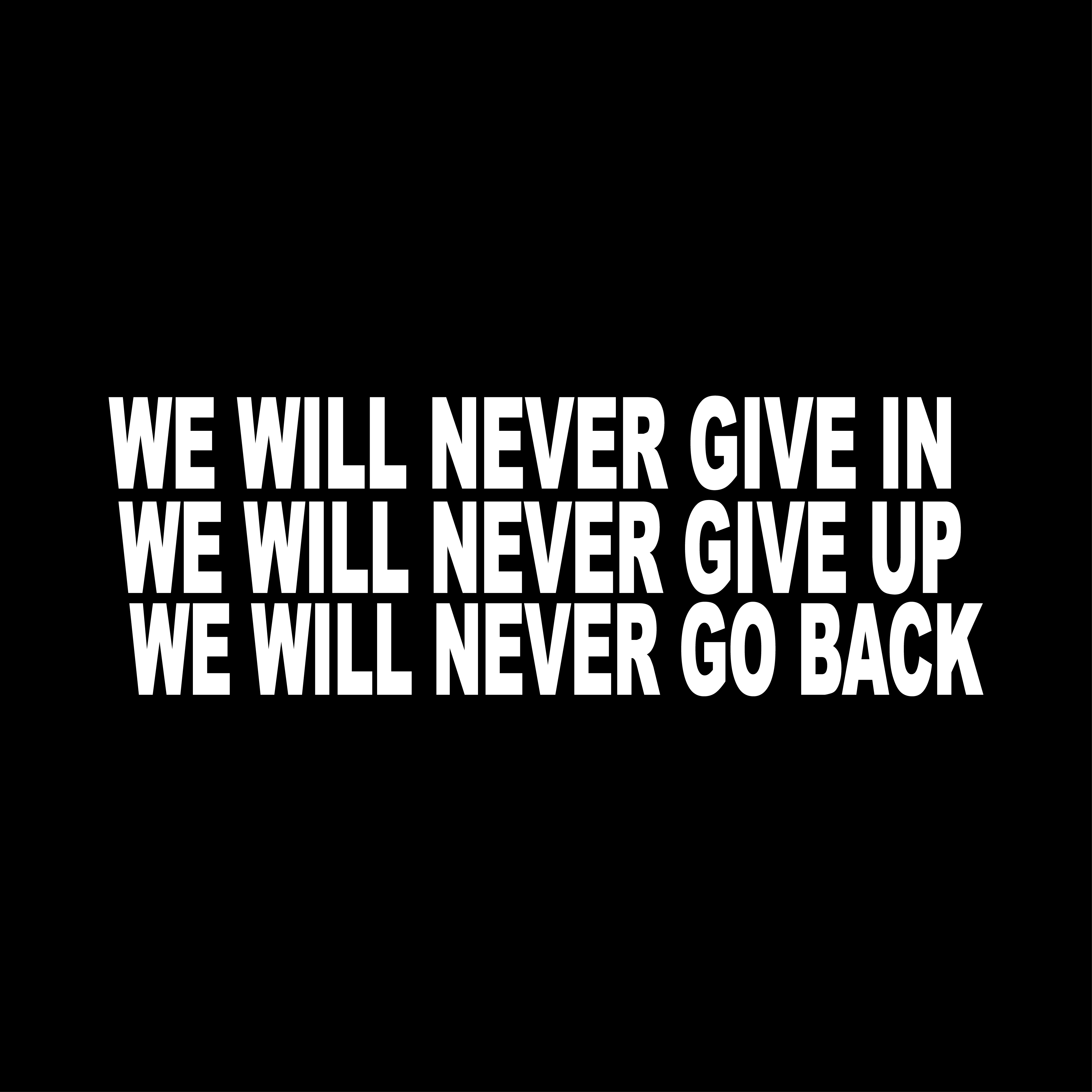 We Will Never Give in We Will Never Give up We Will Never Go Back