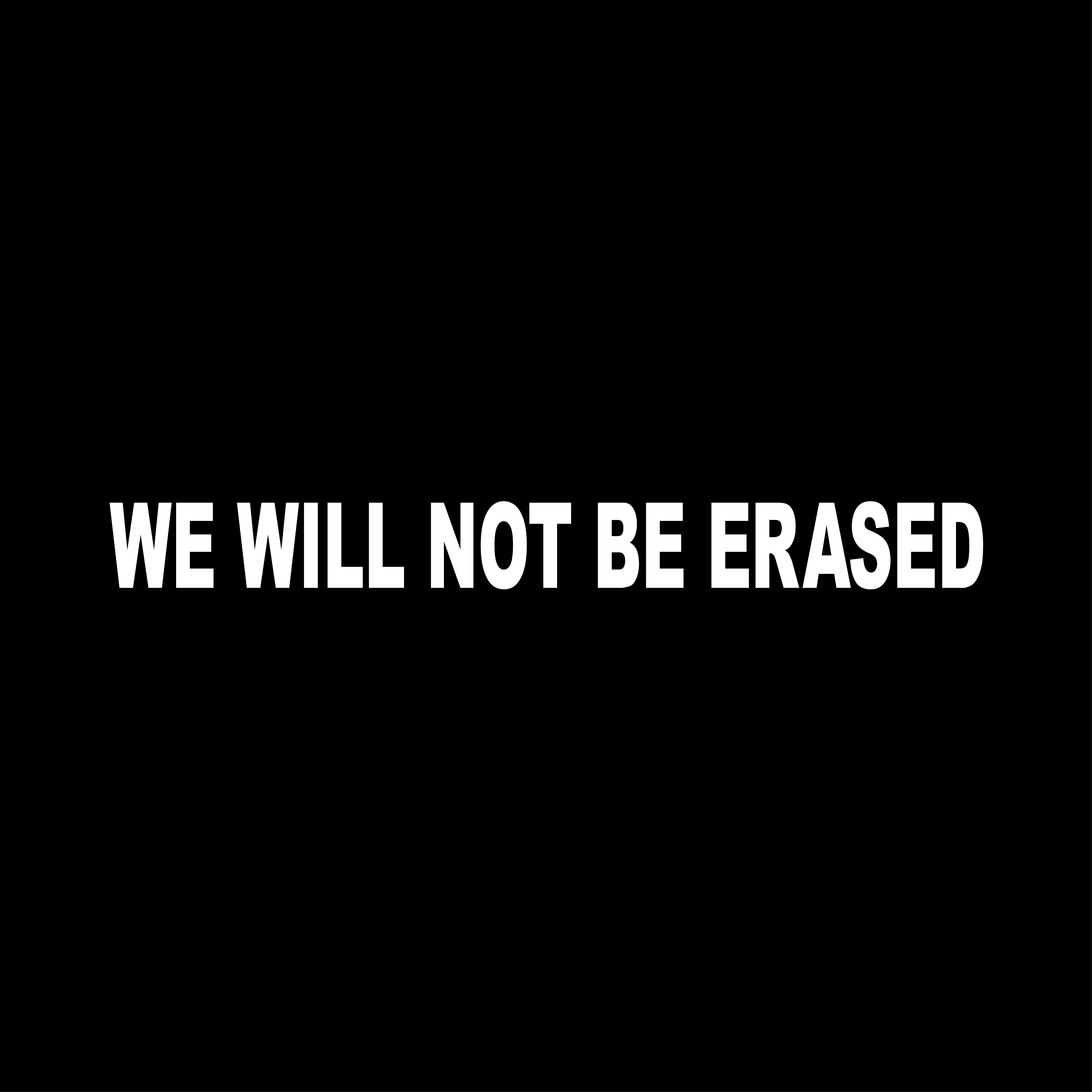 We Will Not Be Erased 2