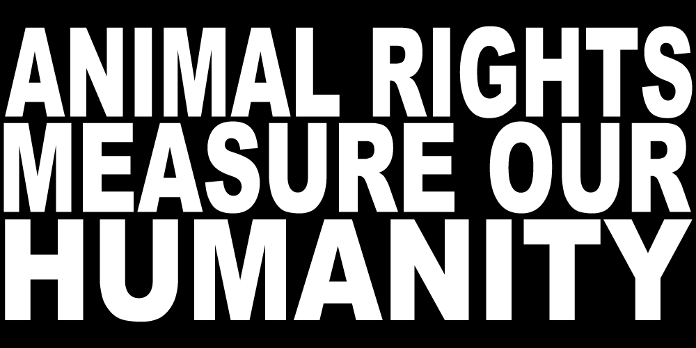 ANIMAL RIGHTS MEASURE OUR HUMANITY